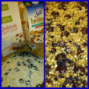 Healthy protein & omega rich cake. Flour free!