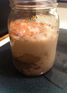 overnight coconut spelt flakes