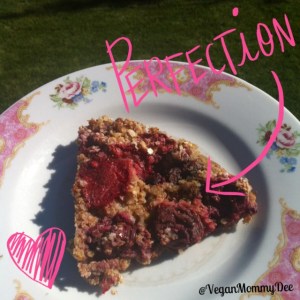 Quinoa Berry Bake Slice!