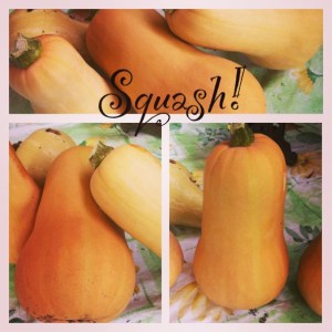 Squash!