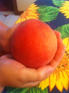 My daughter holding a perfect yummy organic peach!